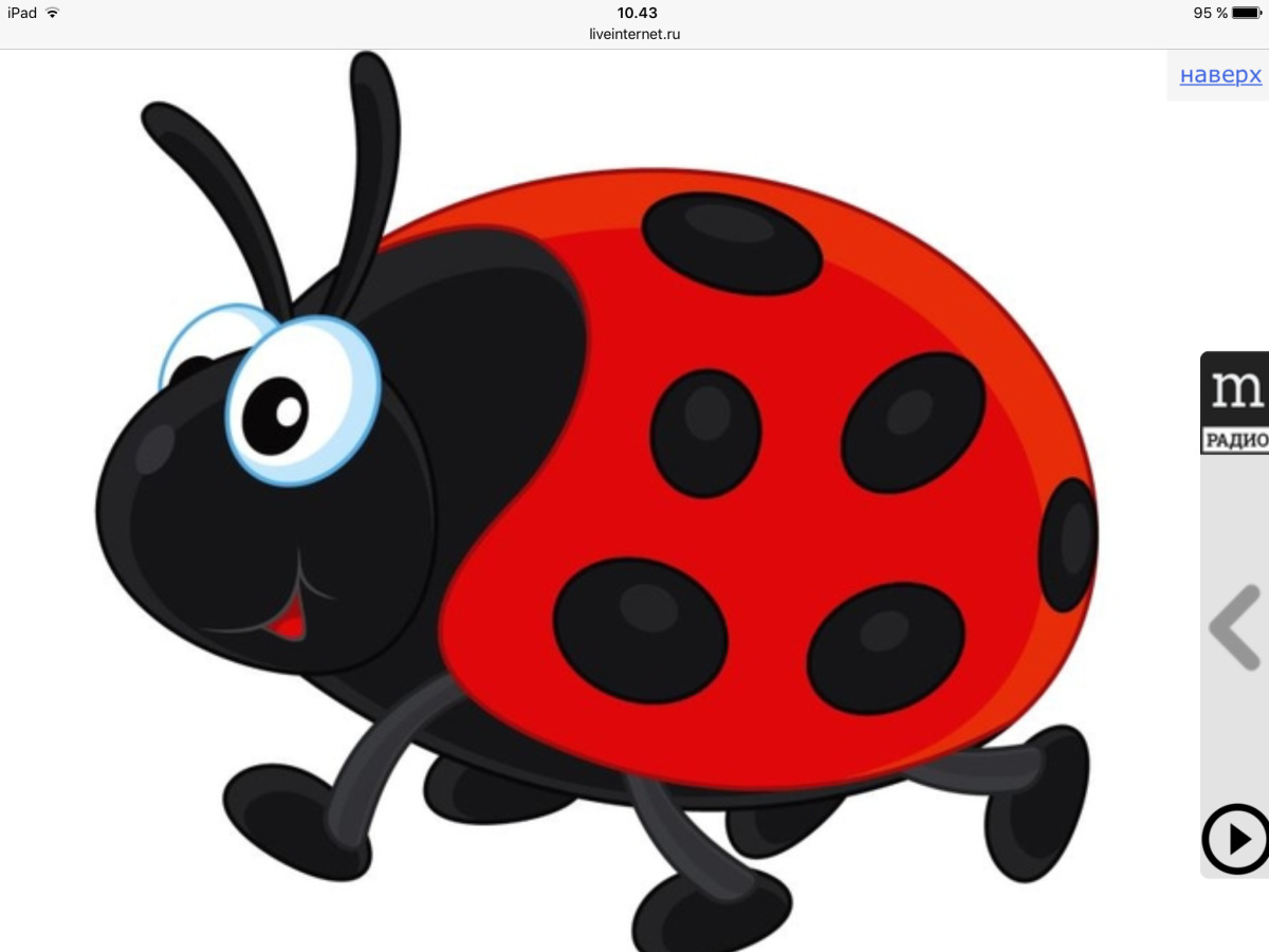 Жучки для детей