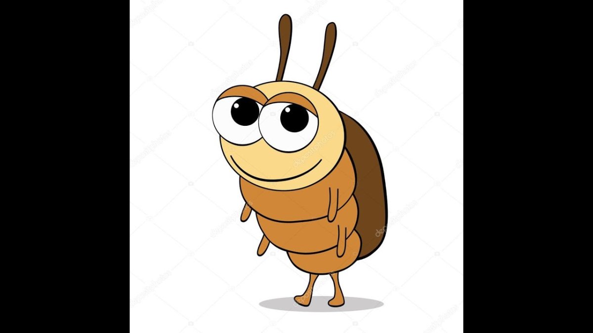 Жуки и букашки для детей