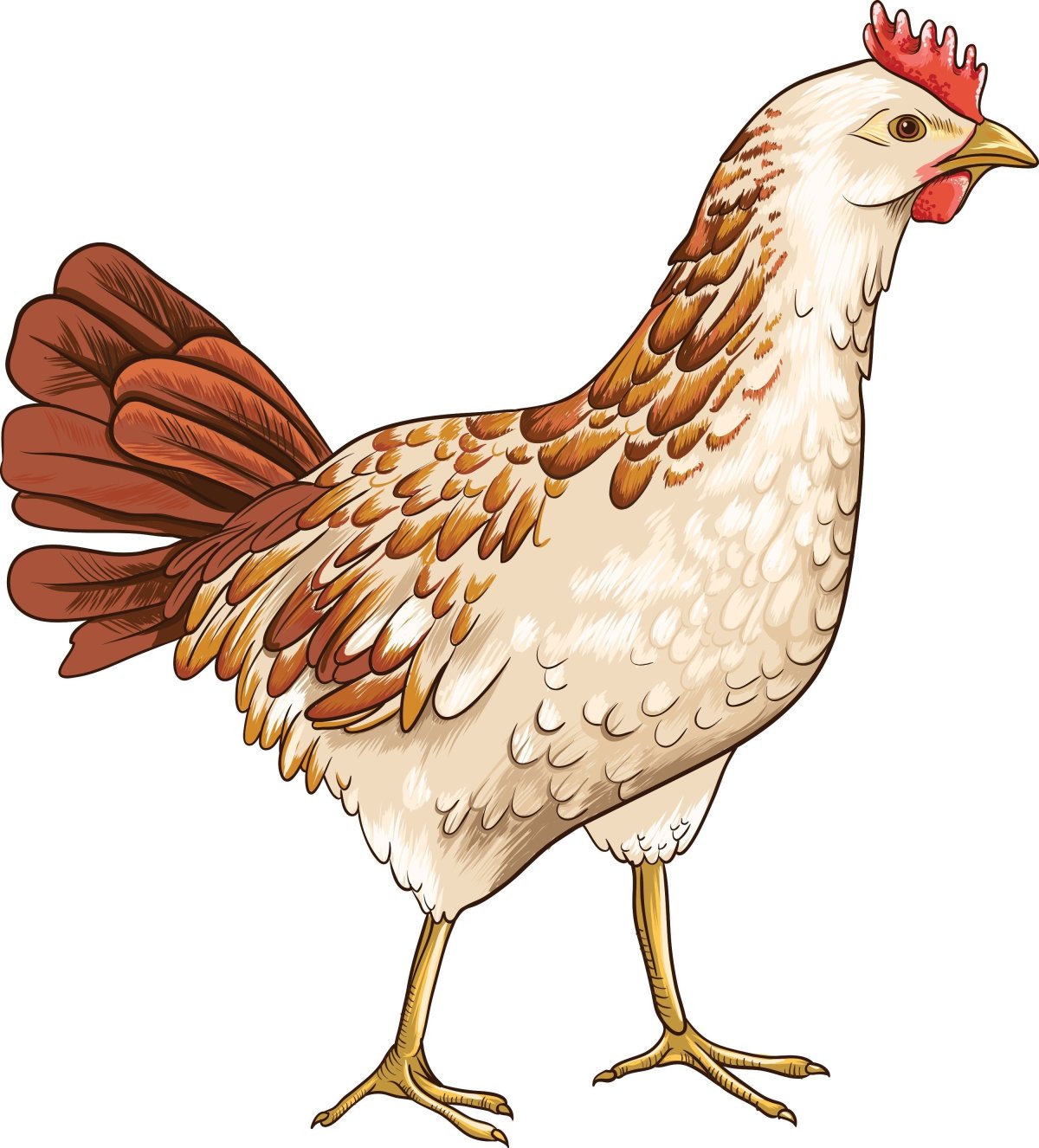 Курица для детей