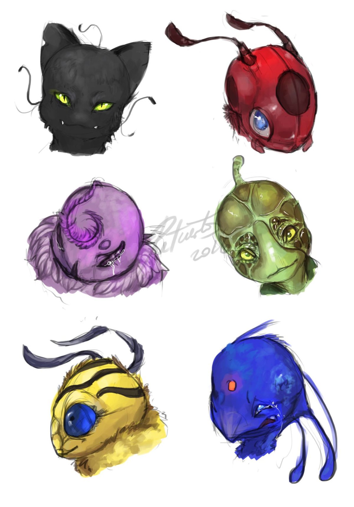 КВАМИ КАРАПАСА