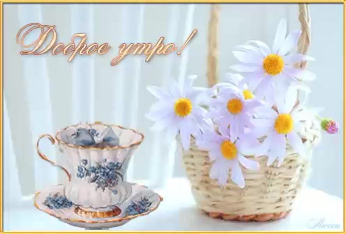 Пожелания доброго утра с ромашками