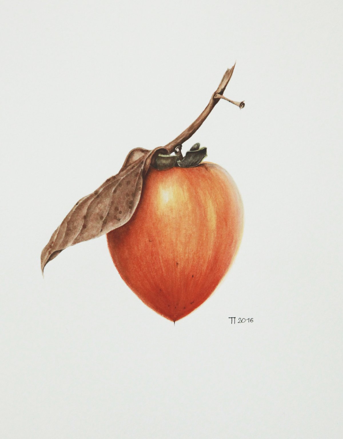 Хурма на ветке