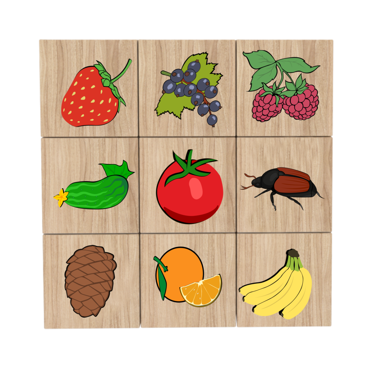 Карточки съедобное несъедобное