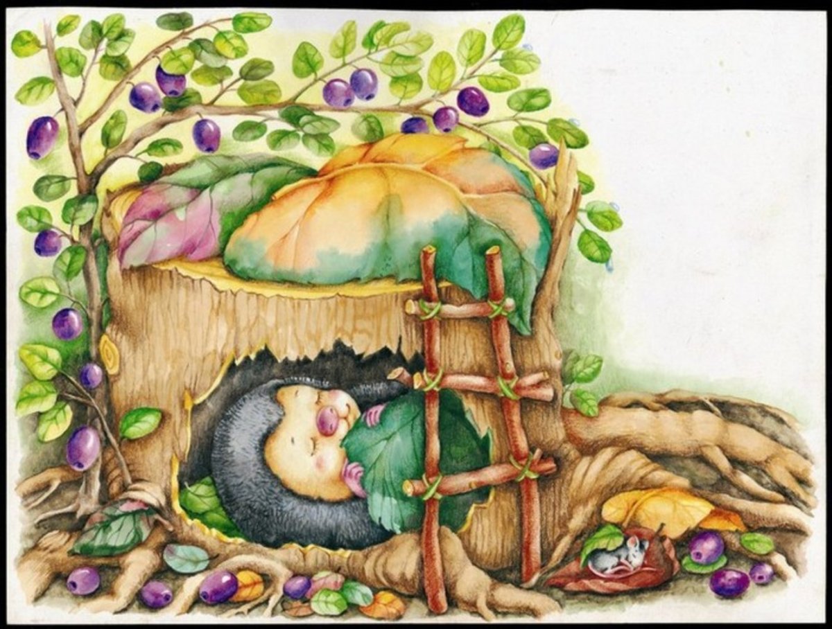 Ёжиная Нора