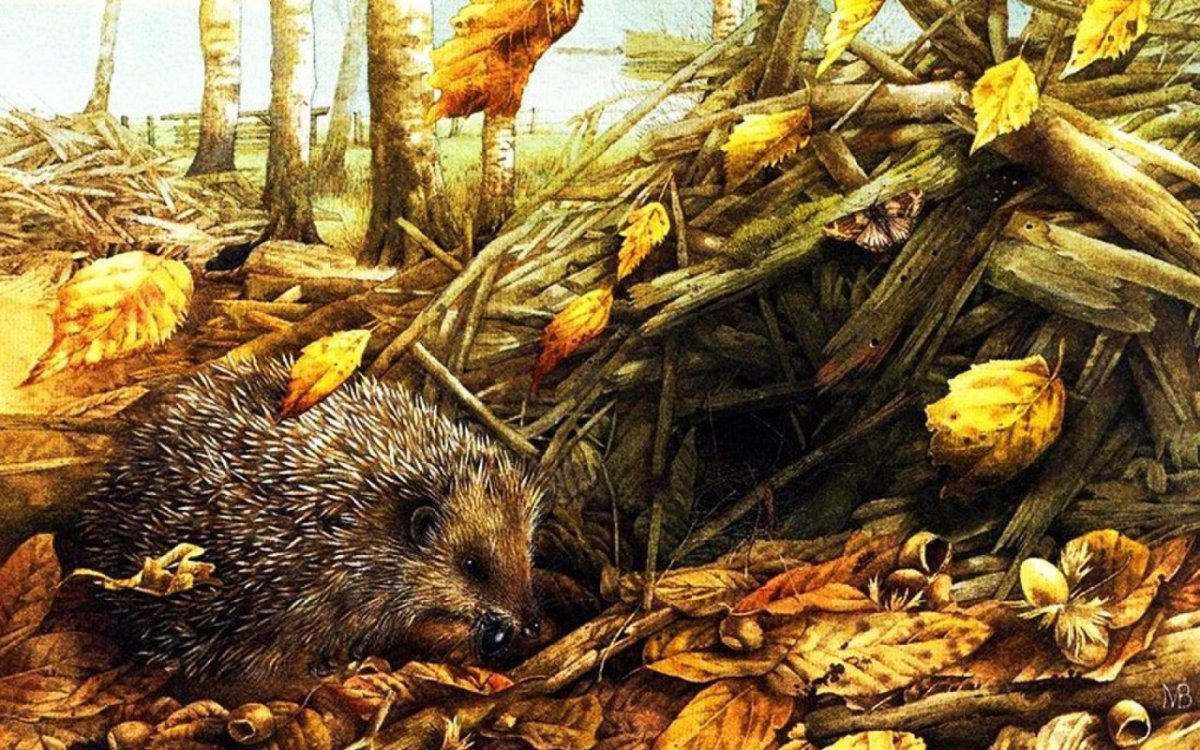 Ежик спит в норке