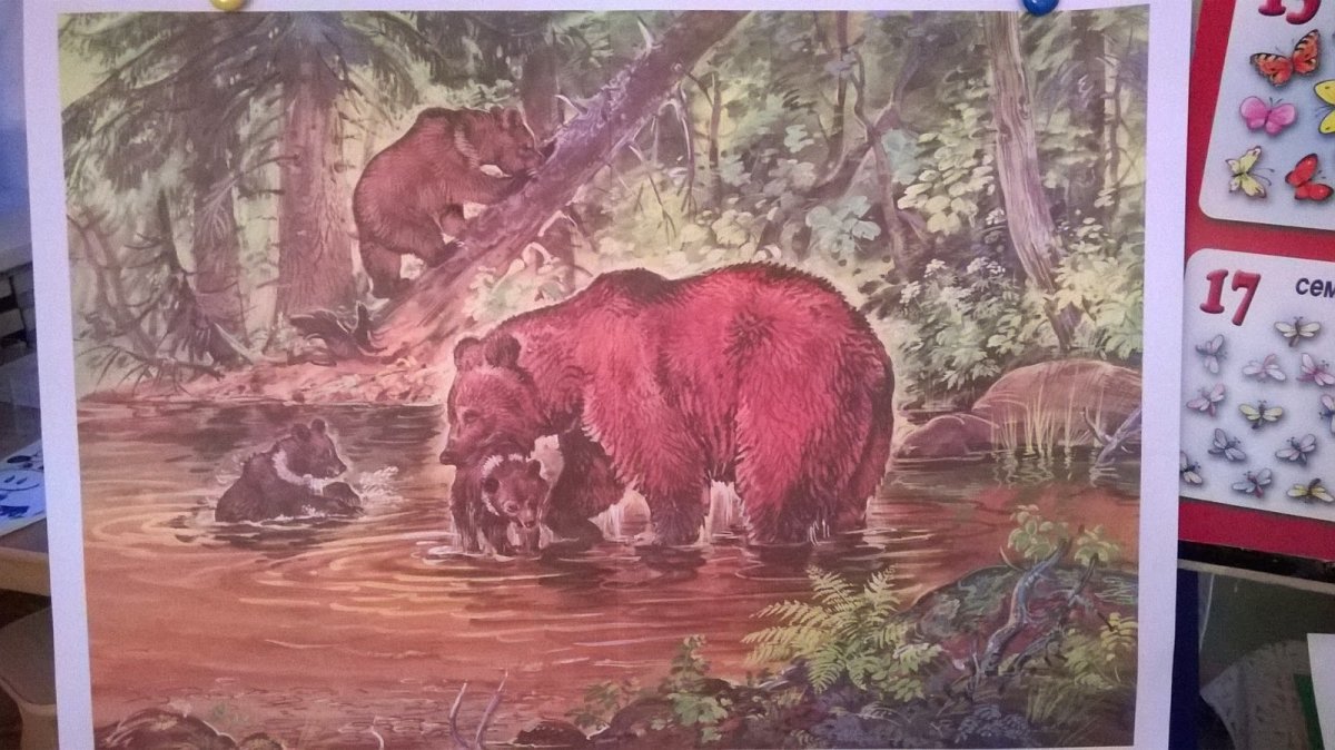 Купание медвежат Бианки