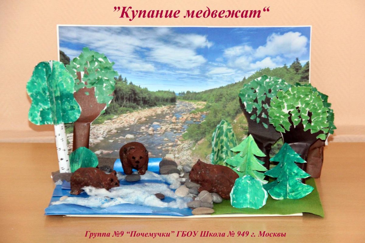 Раскраска "Дикие животные"