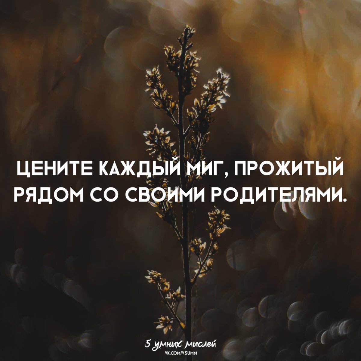 Цени каждый миг