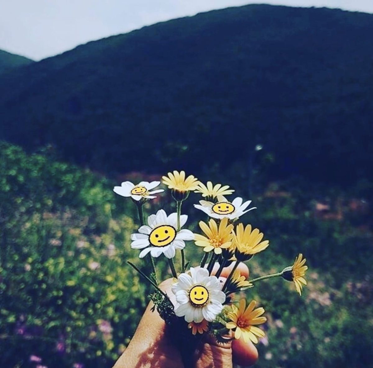 Счастье у каждого своё цитаты