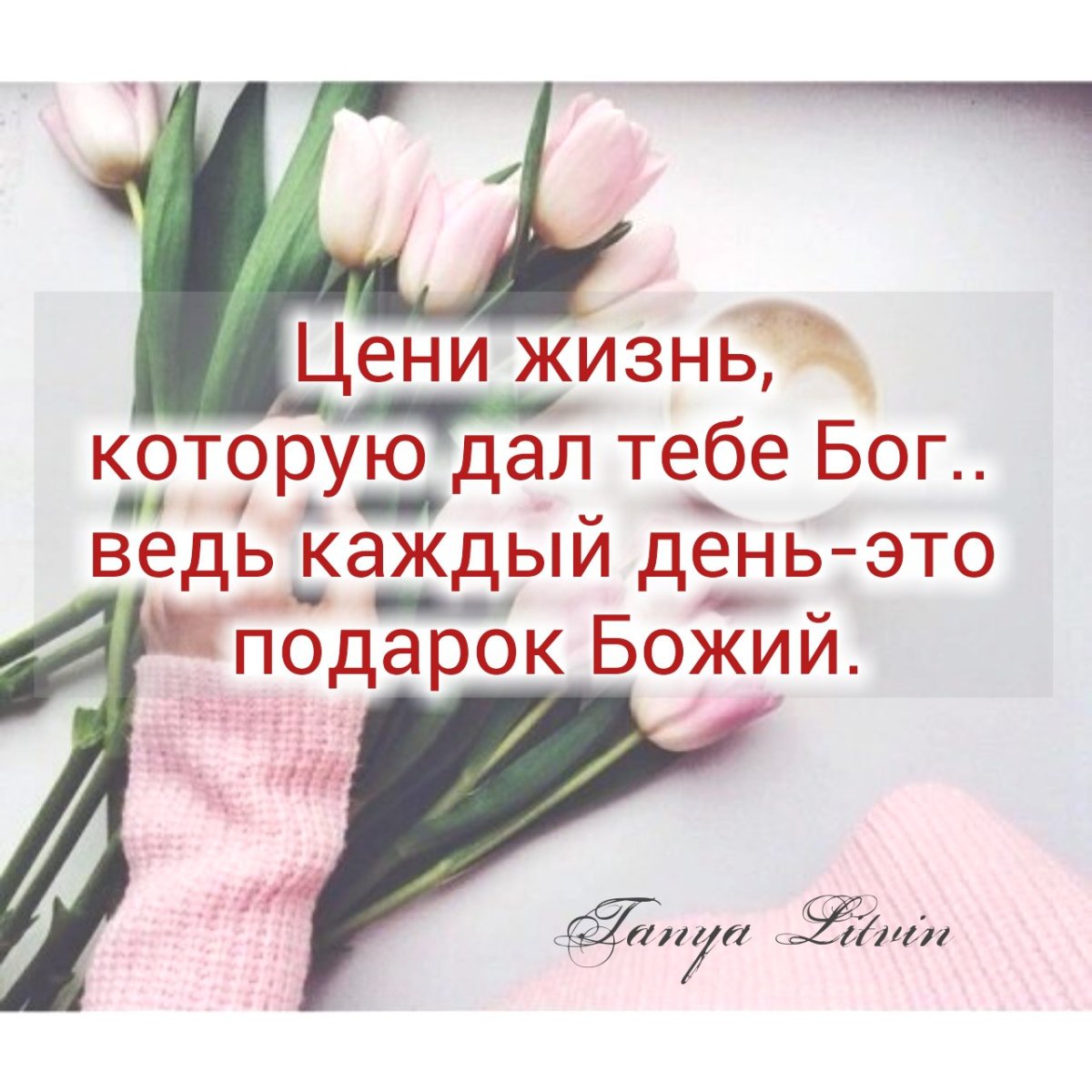 Цените каждый день жизни