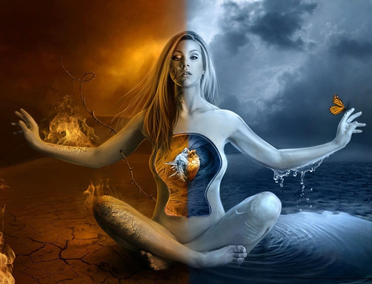 Елена Комаева