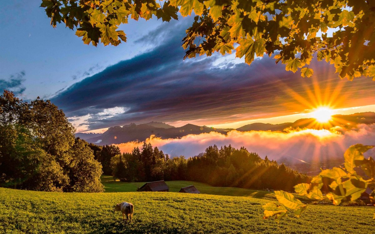 Солнечная осень