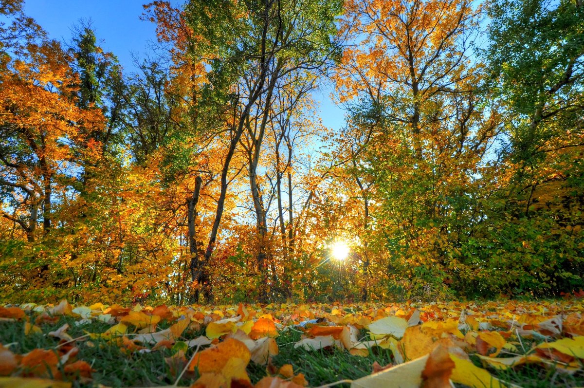 Тёплая осень