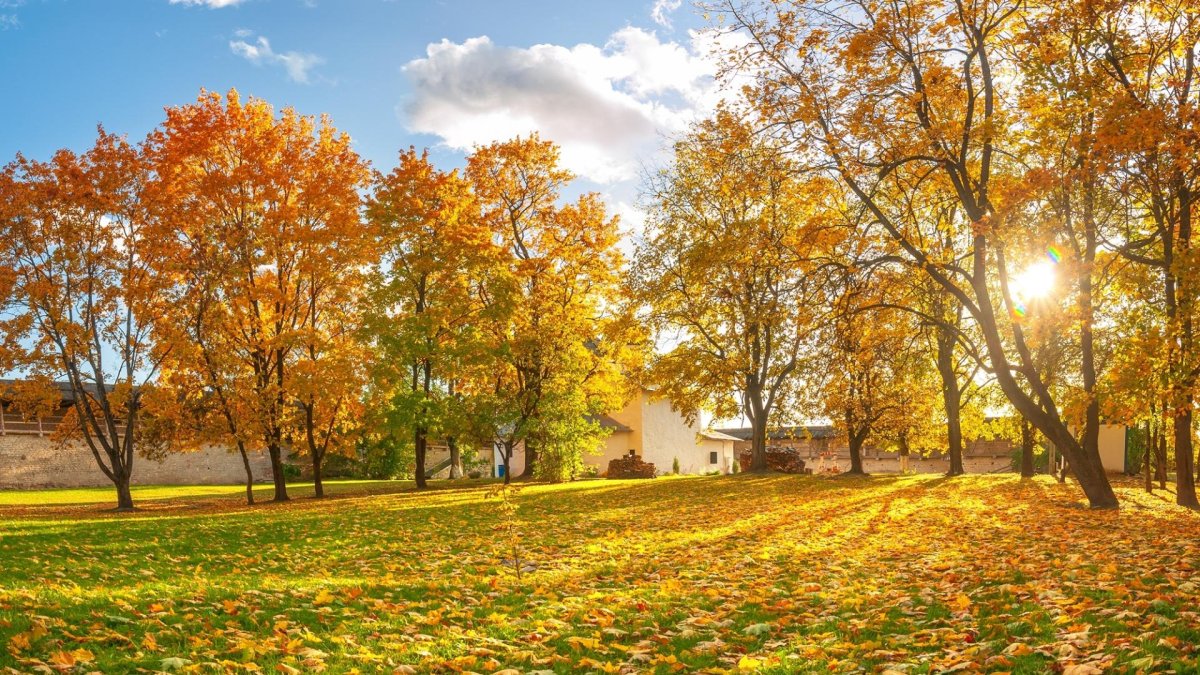 Осеннее солнце