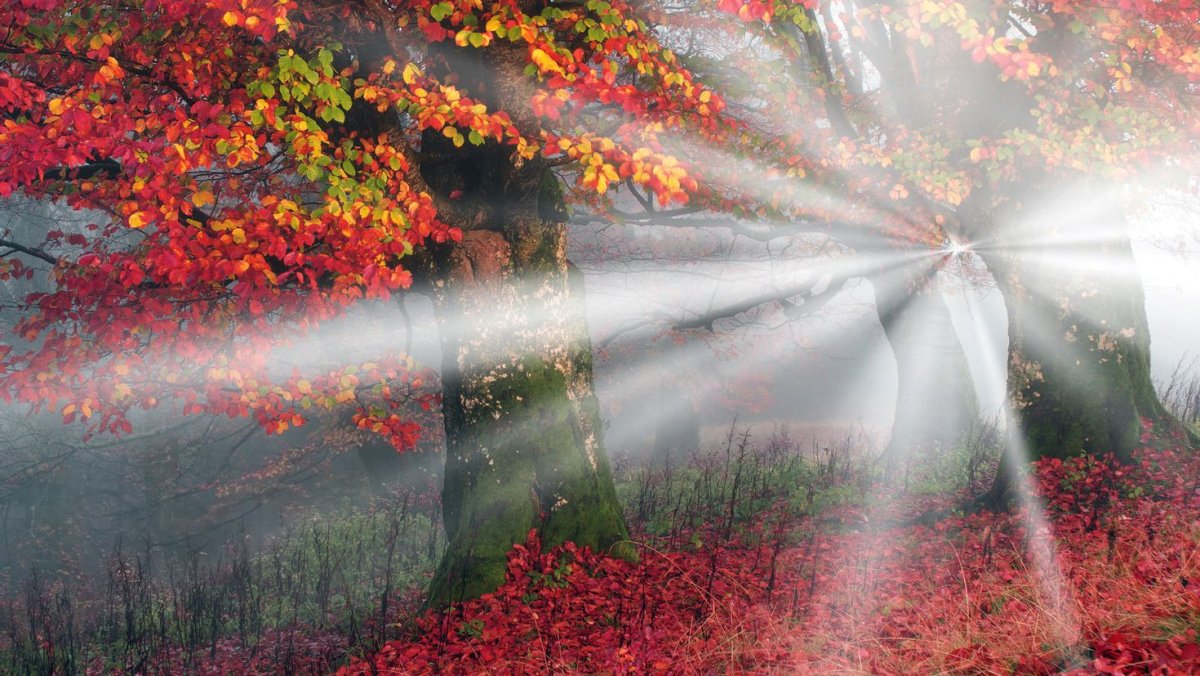 Яркое осеннее солнце