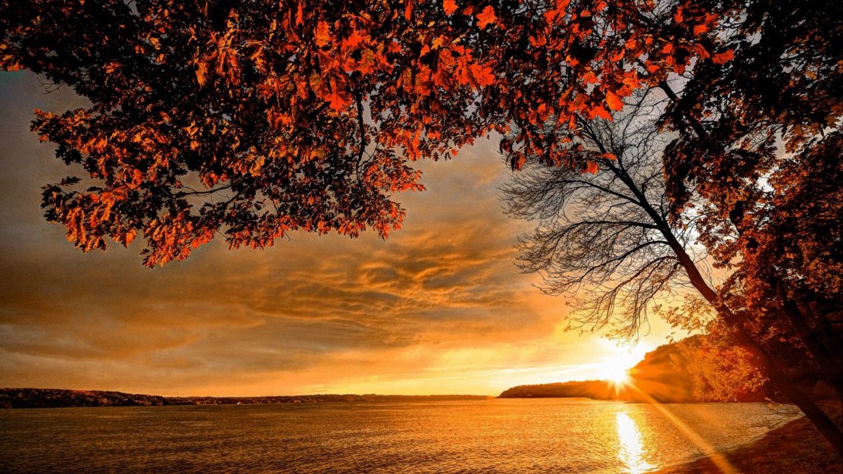 Рассвет осенью