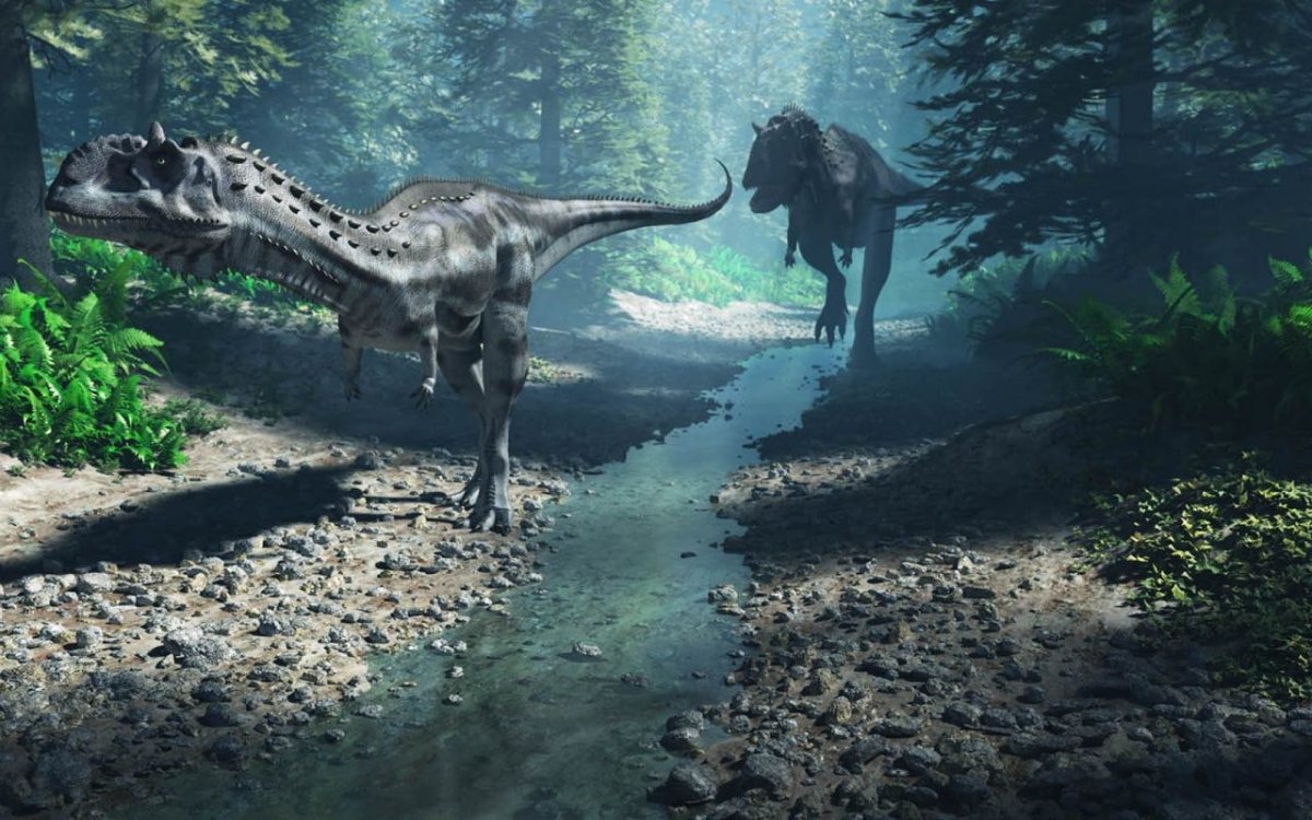 Чжао Чжуан палеоарт