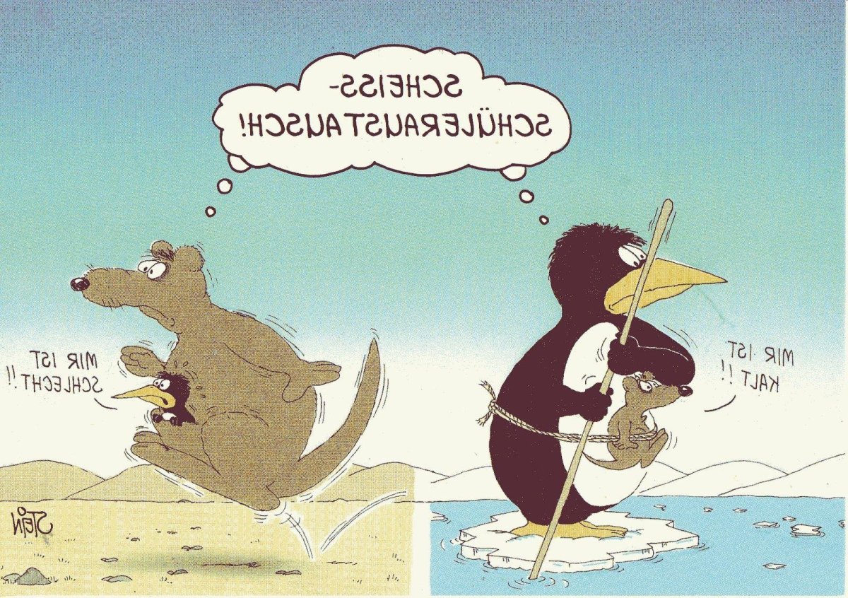 Возвращение блудного попугая