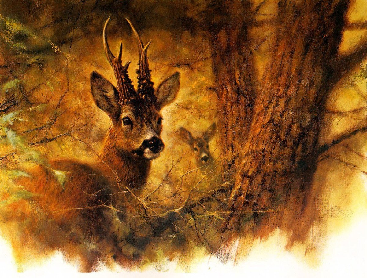 Художник rien Poortvliet