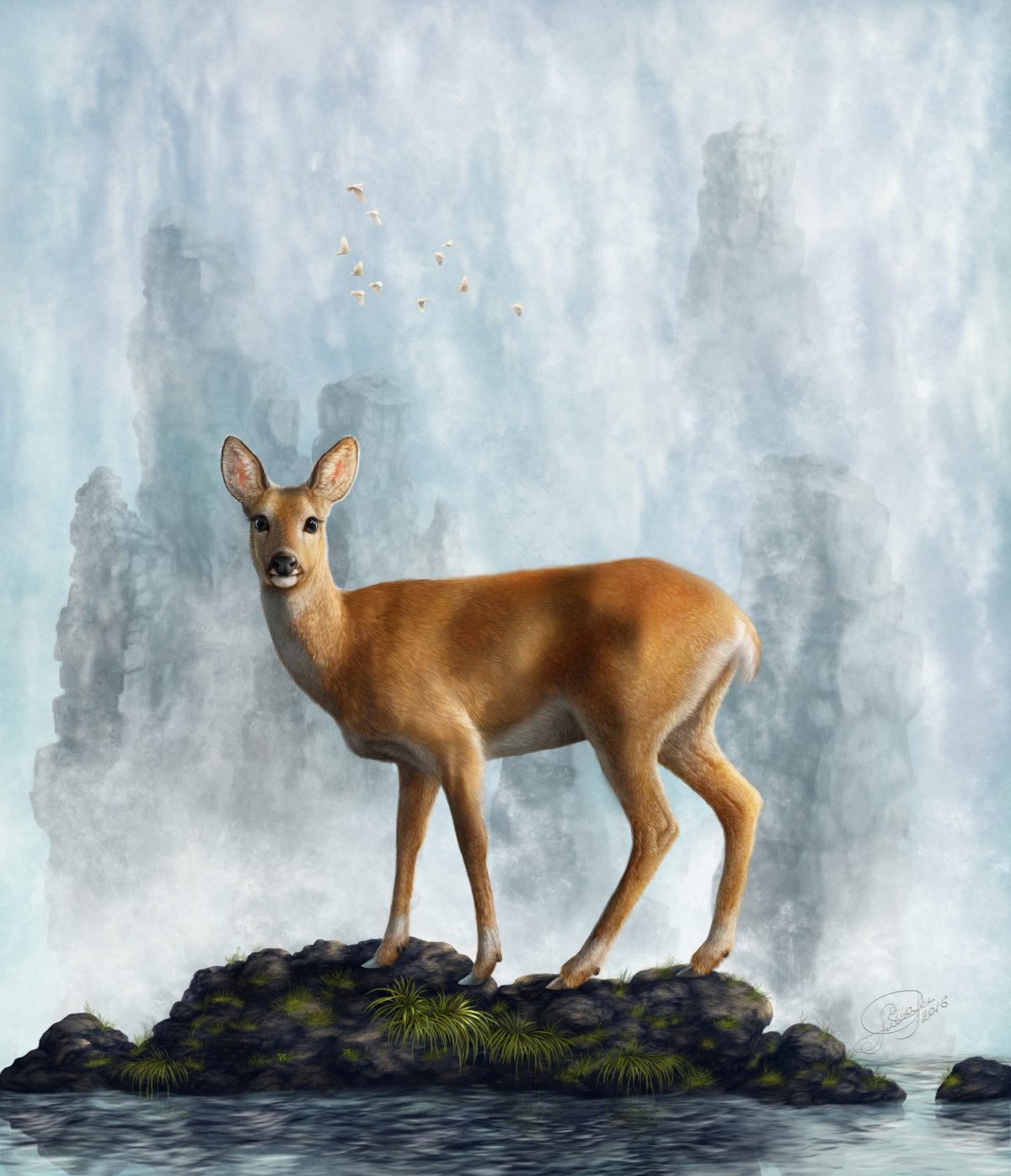 Косуля картина