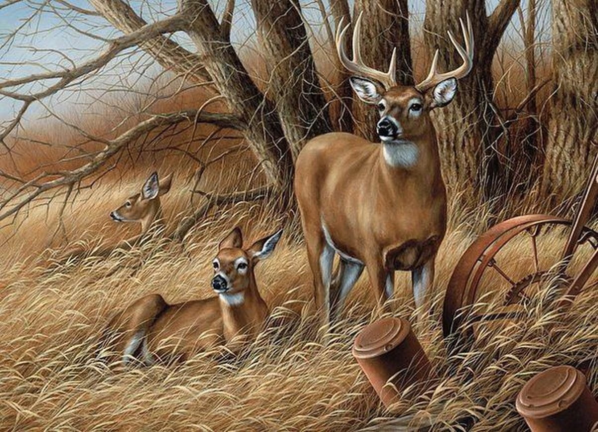 Розмари Миллетт картины олени