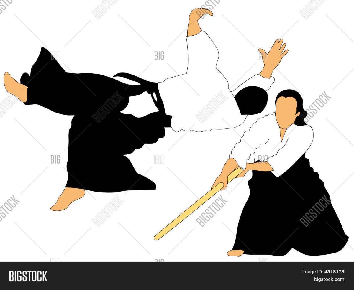 Фотообои айкидо