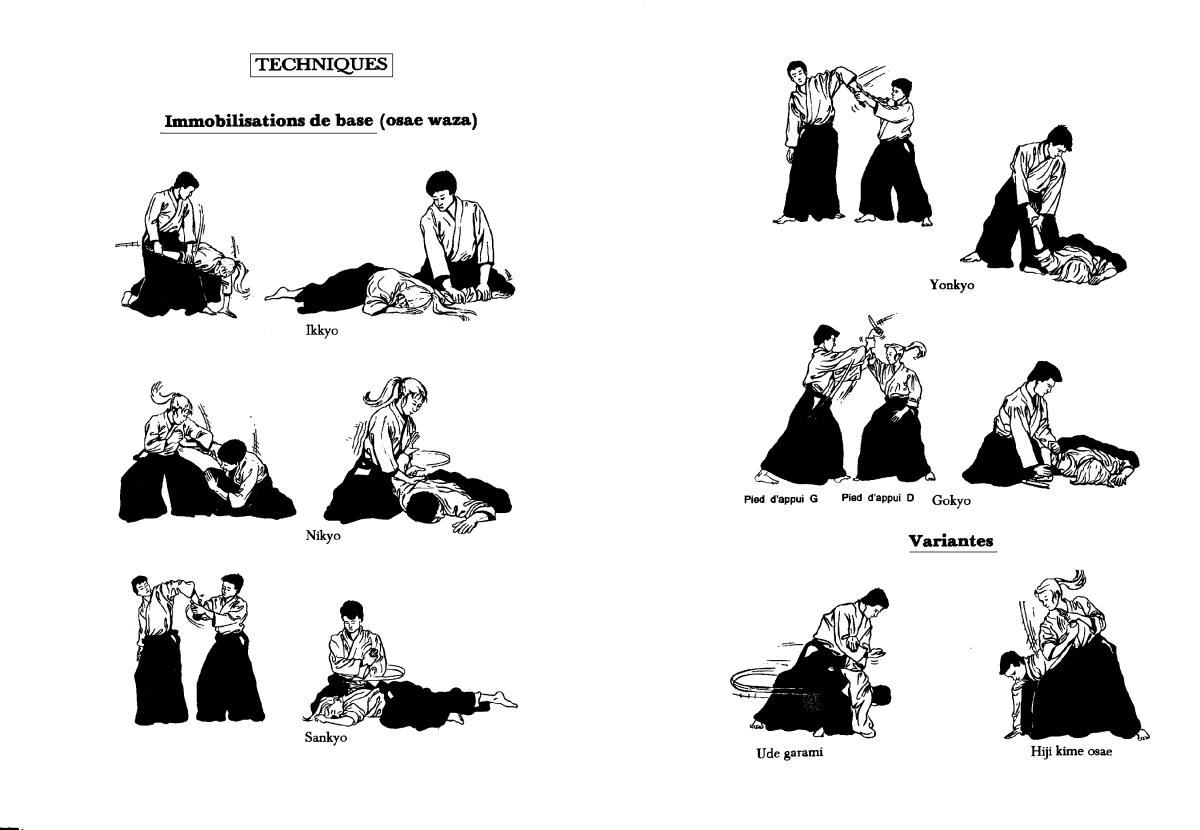 Айкидо название приёмов