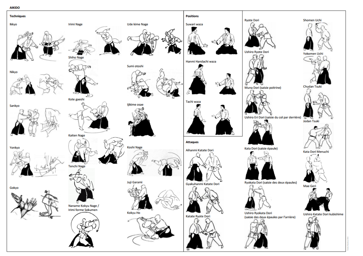 Айкидо название приёмов