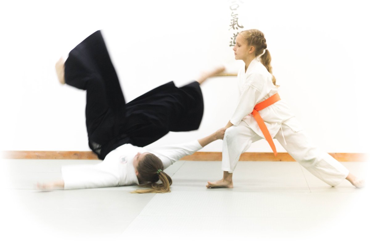 Школа айкидо Димитровград