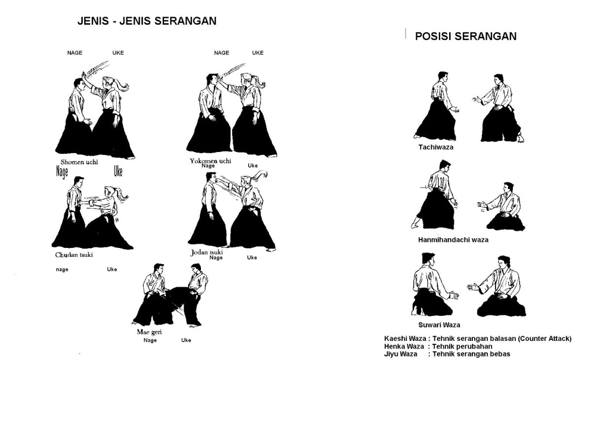 Айкидо название приёмов