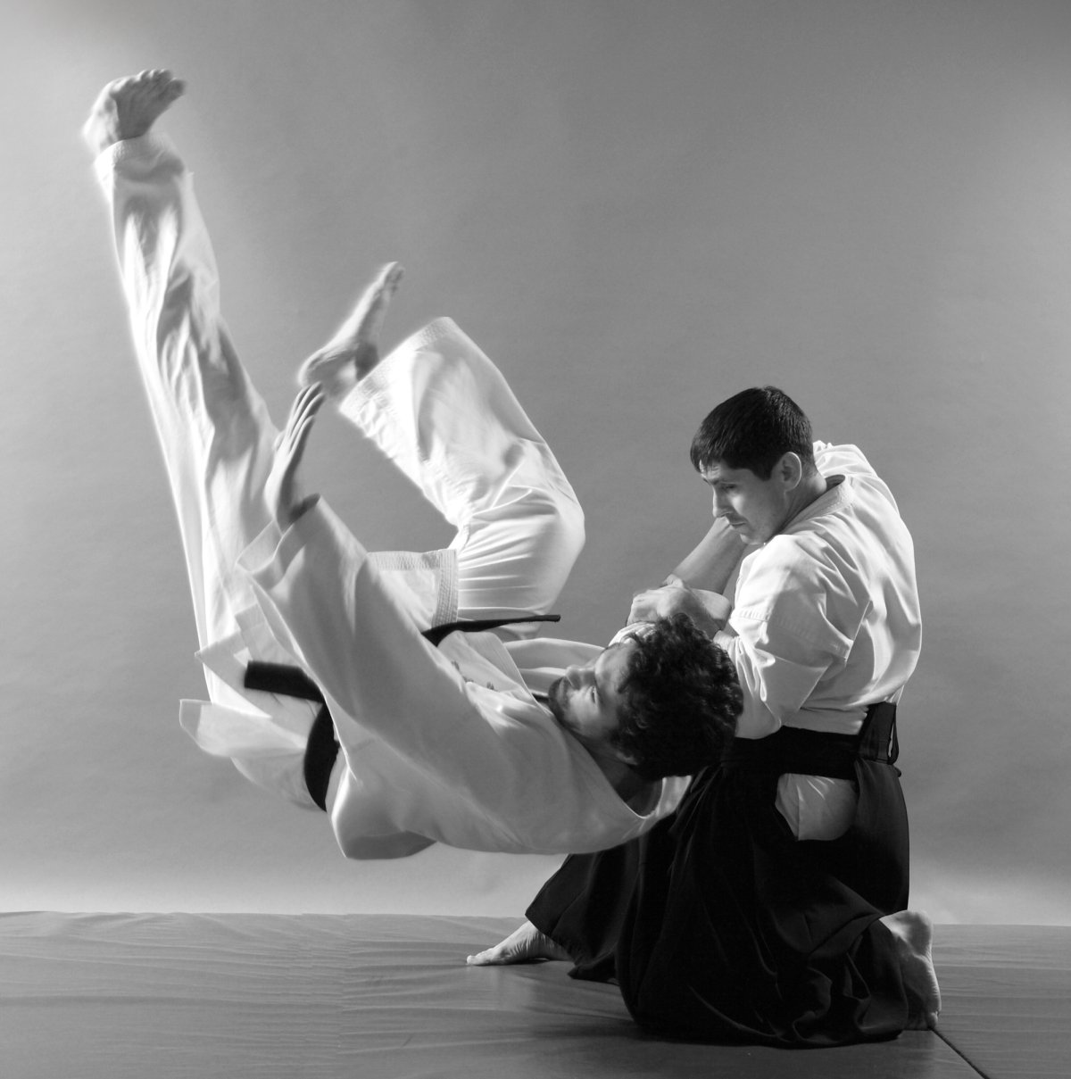 Айкидо бросок чб