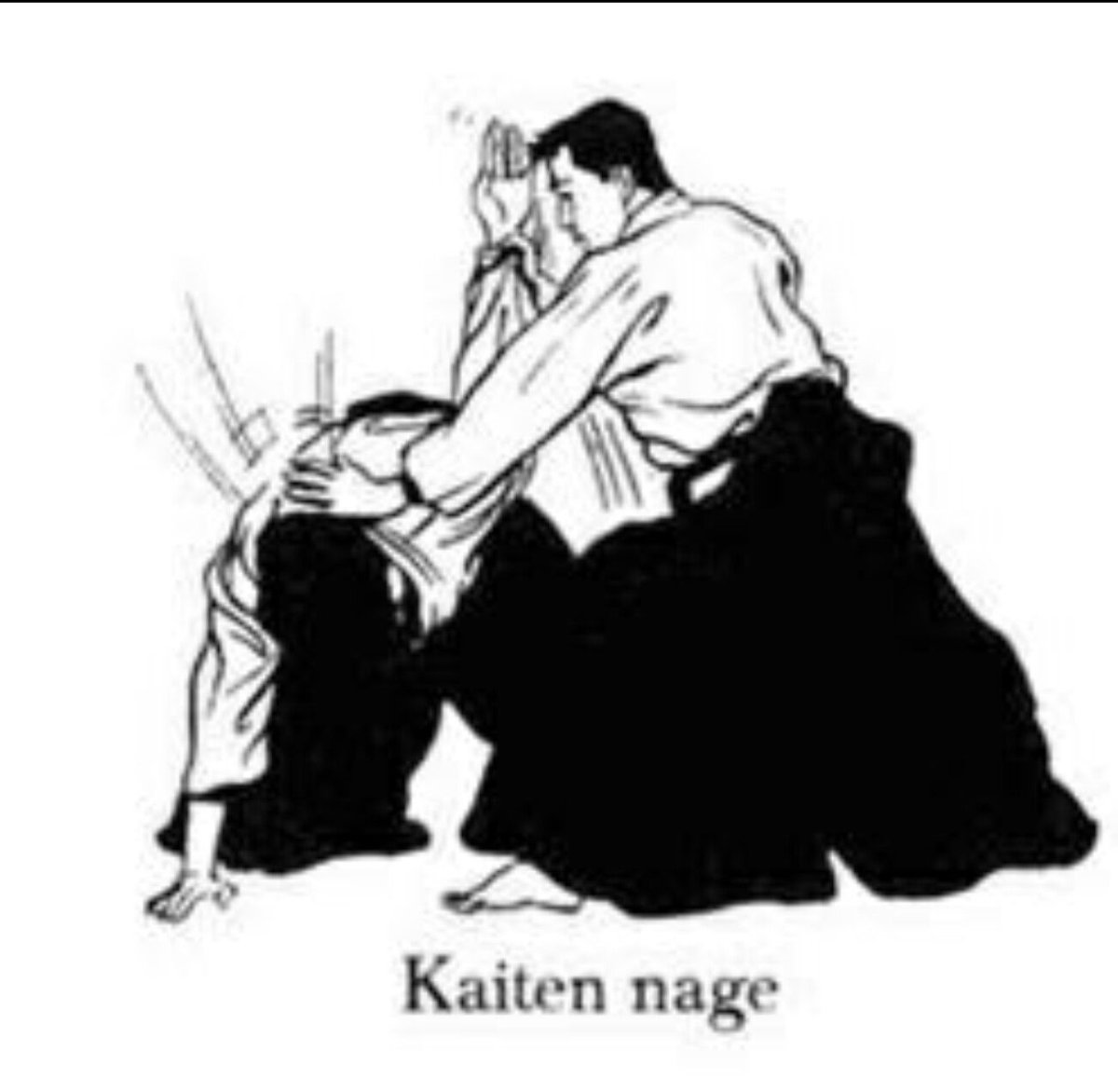 Джиу-джитсу и айкидо отличия