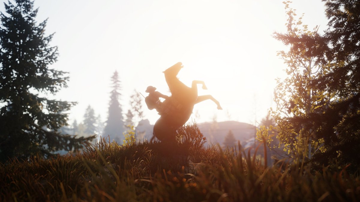 Картинки раст