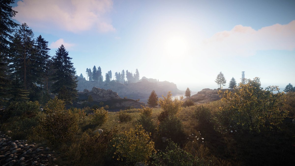 198 Девблог раст