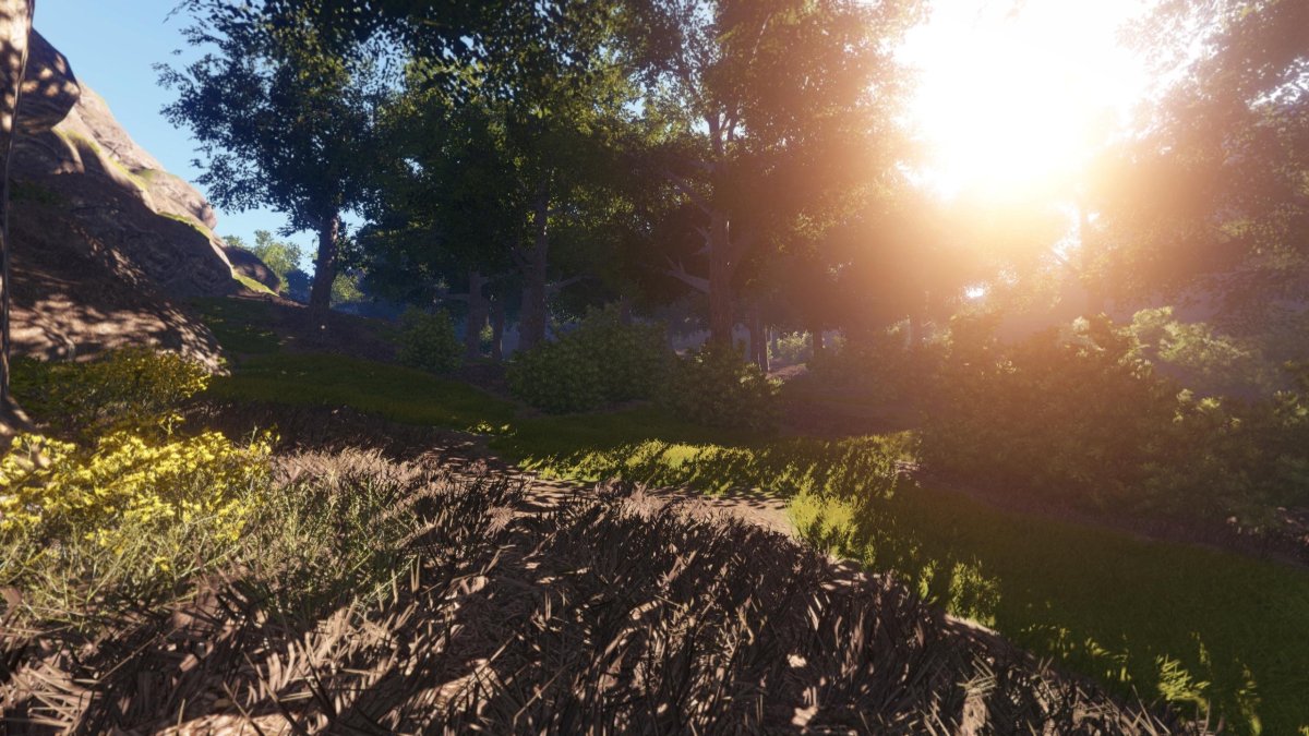 Пейзажи Раста