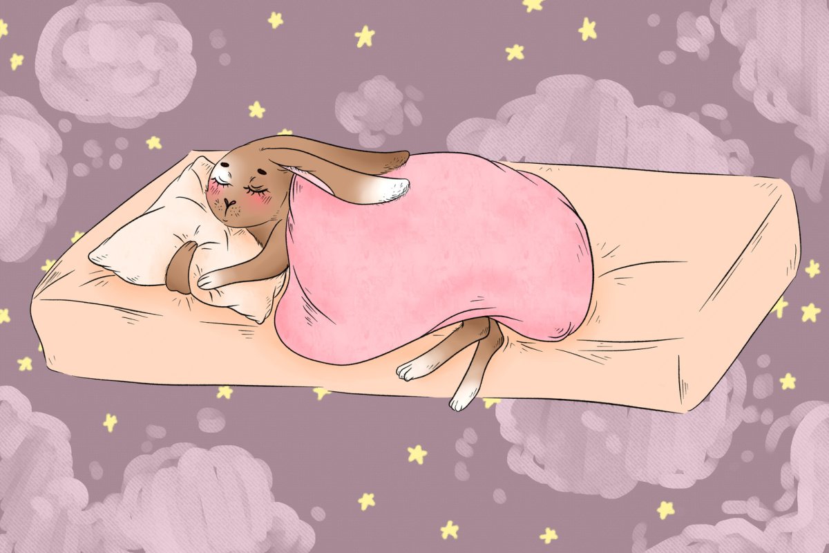 Доброй ночи кролик