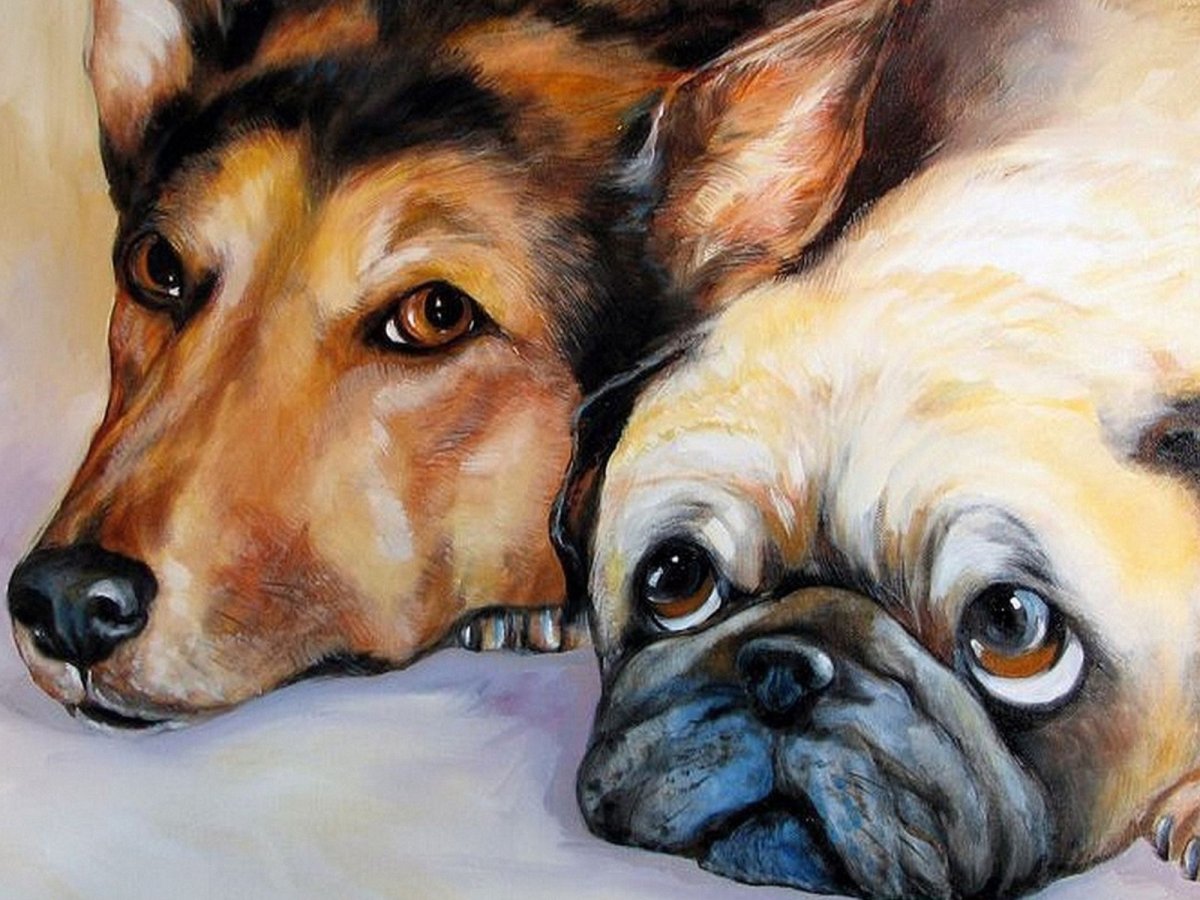 Собака рисунок