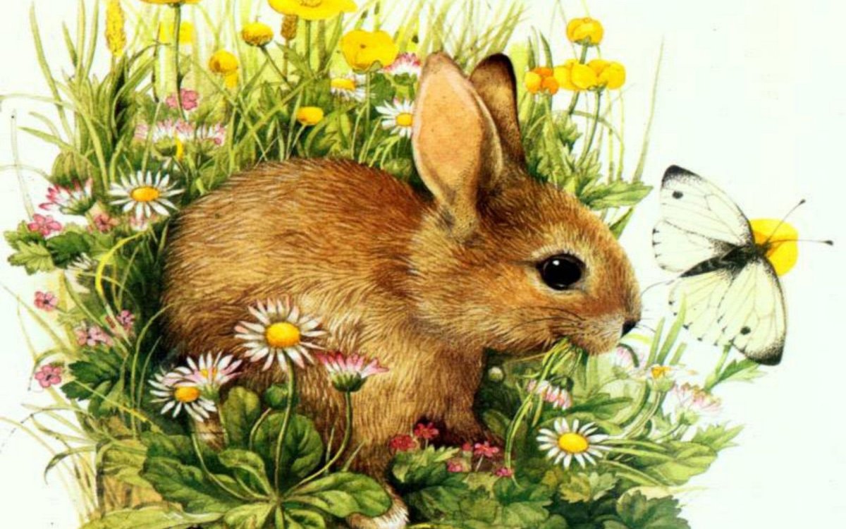 Красивый зайчик рисунок