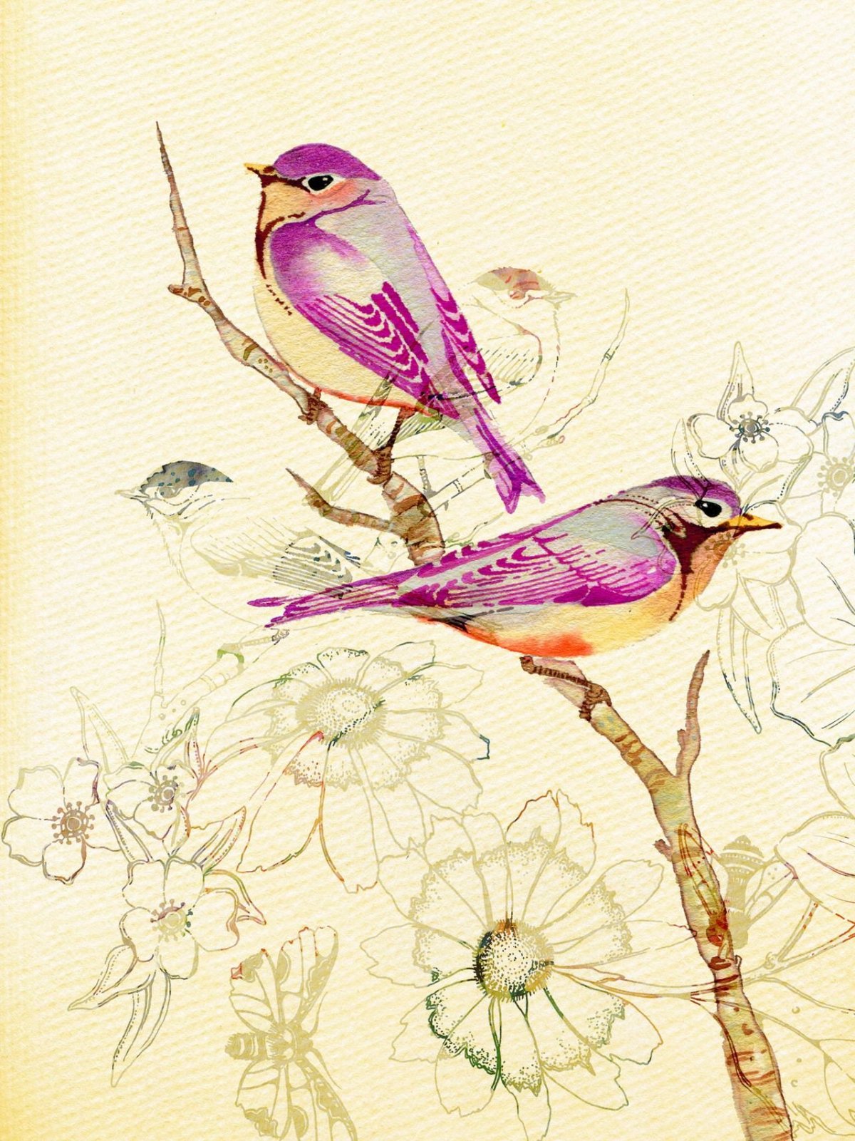 Птицы акварелью