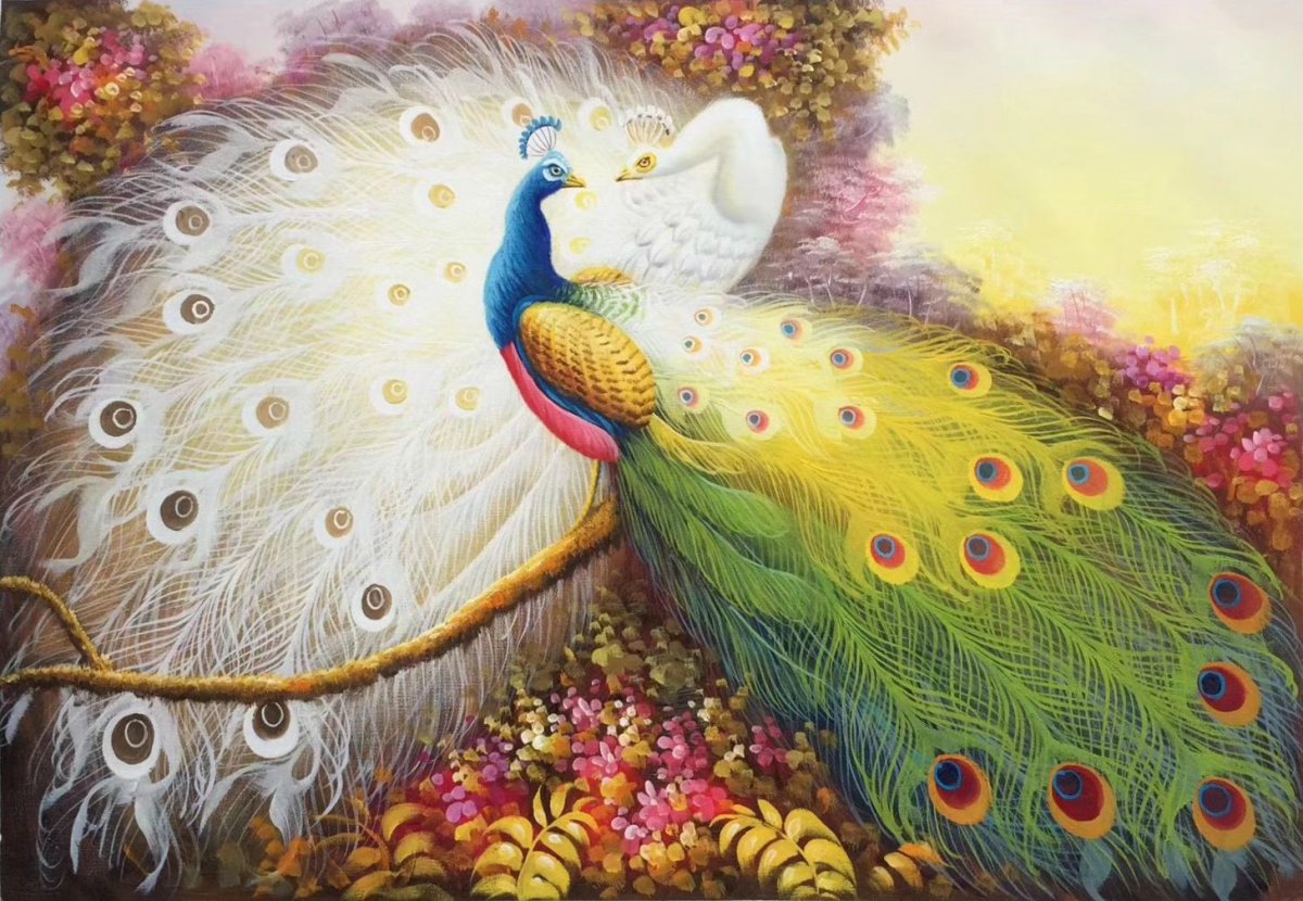 Павлины пара