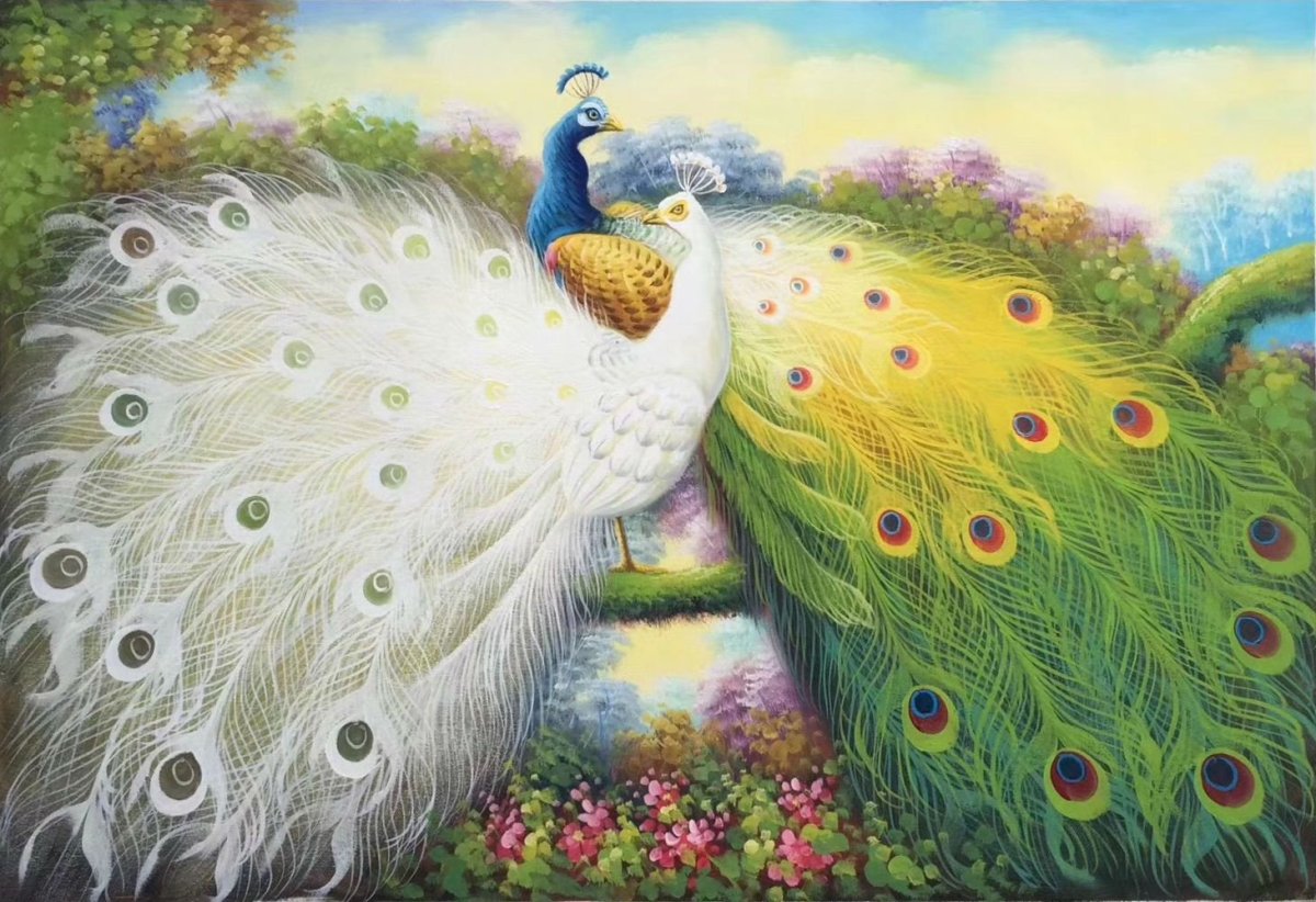 Павлины любовь