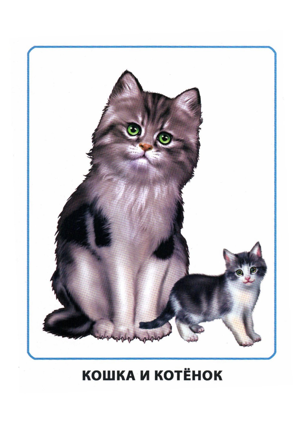 Кошка и котенок для детей