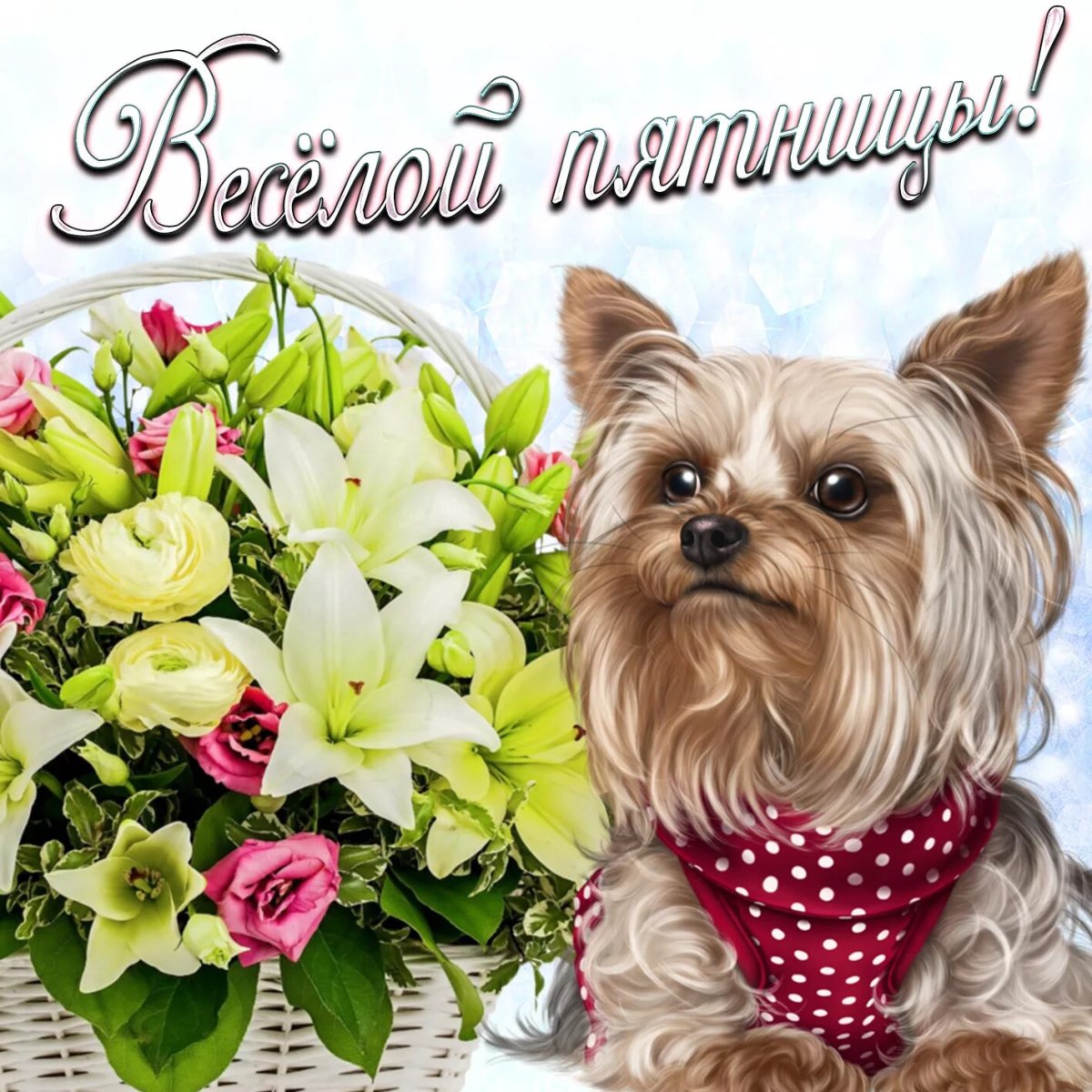 Доброе утро пятницы