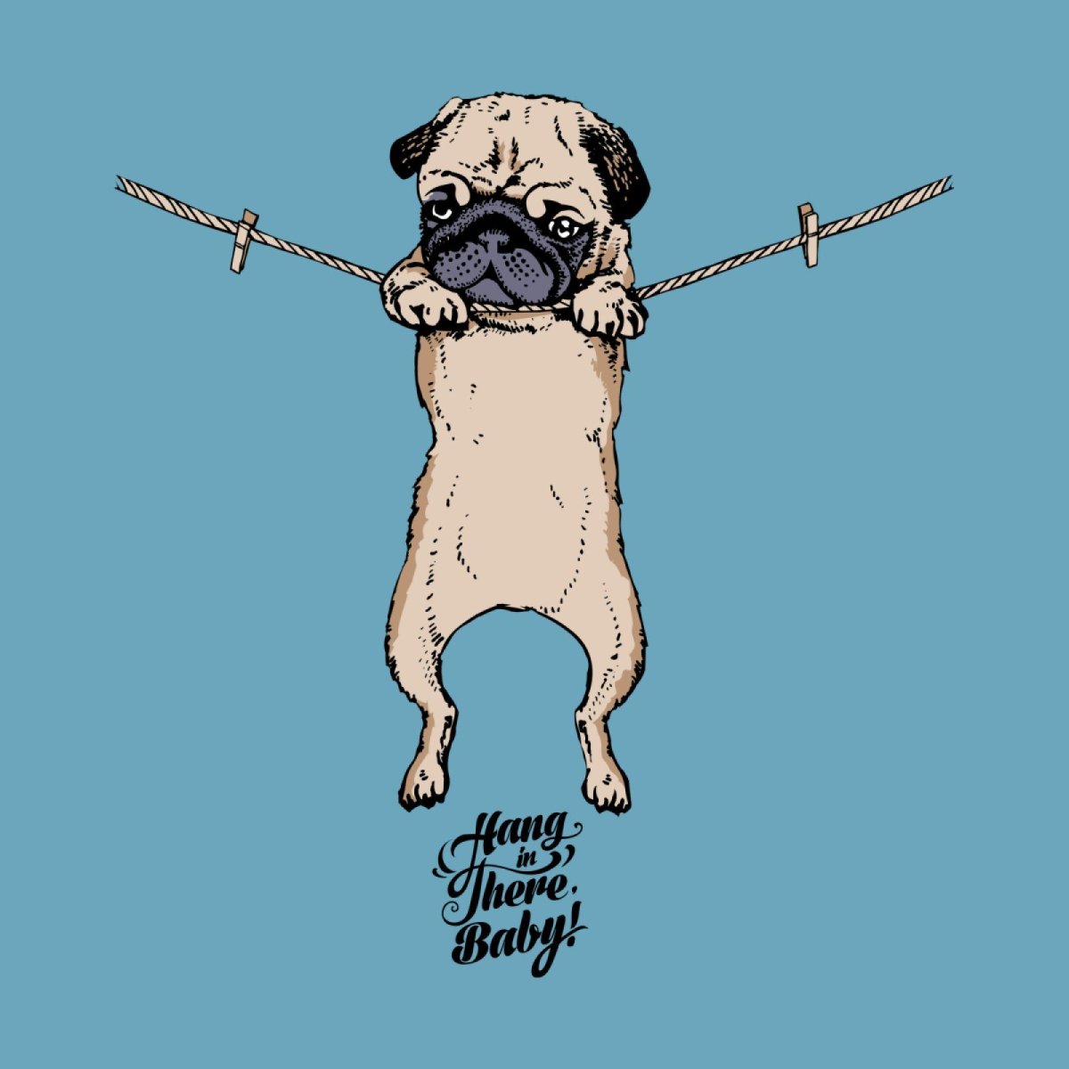 Цитаты про мопсов смешные