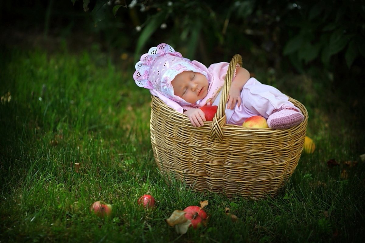 Люлька колыбель 4 в 1 Bee Angel