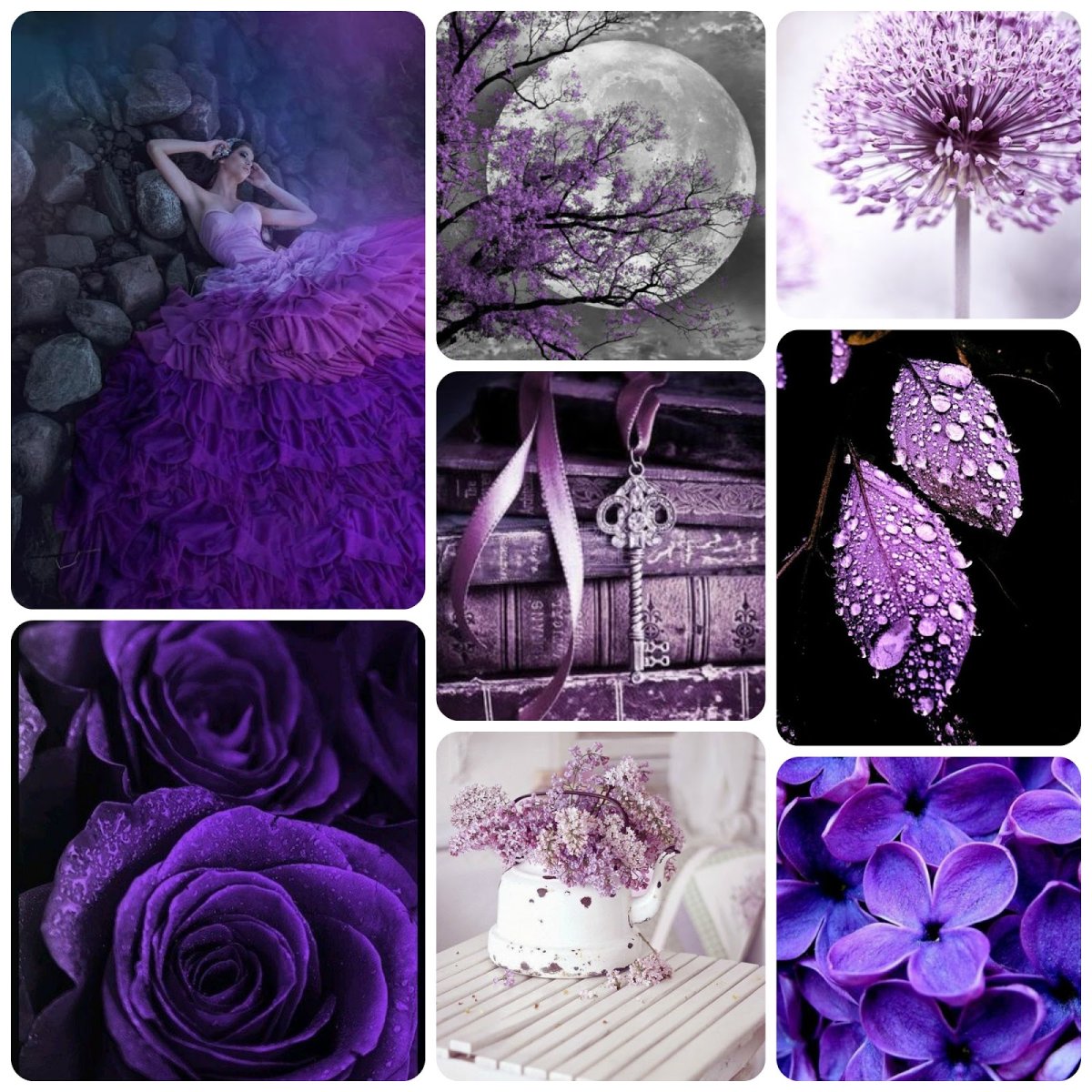 Фиолетовое Вдохновение