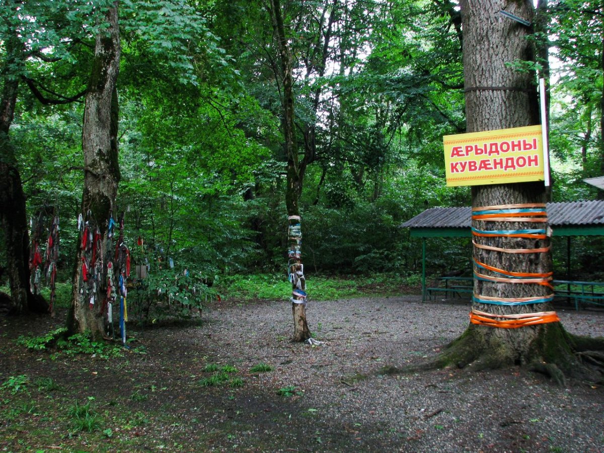 Роща Хетага Владикавказ