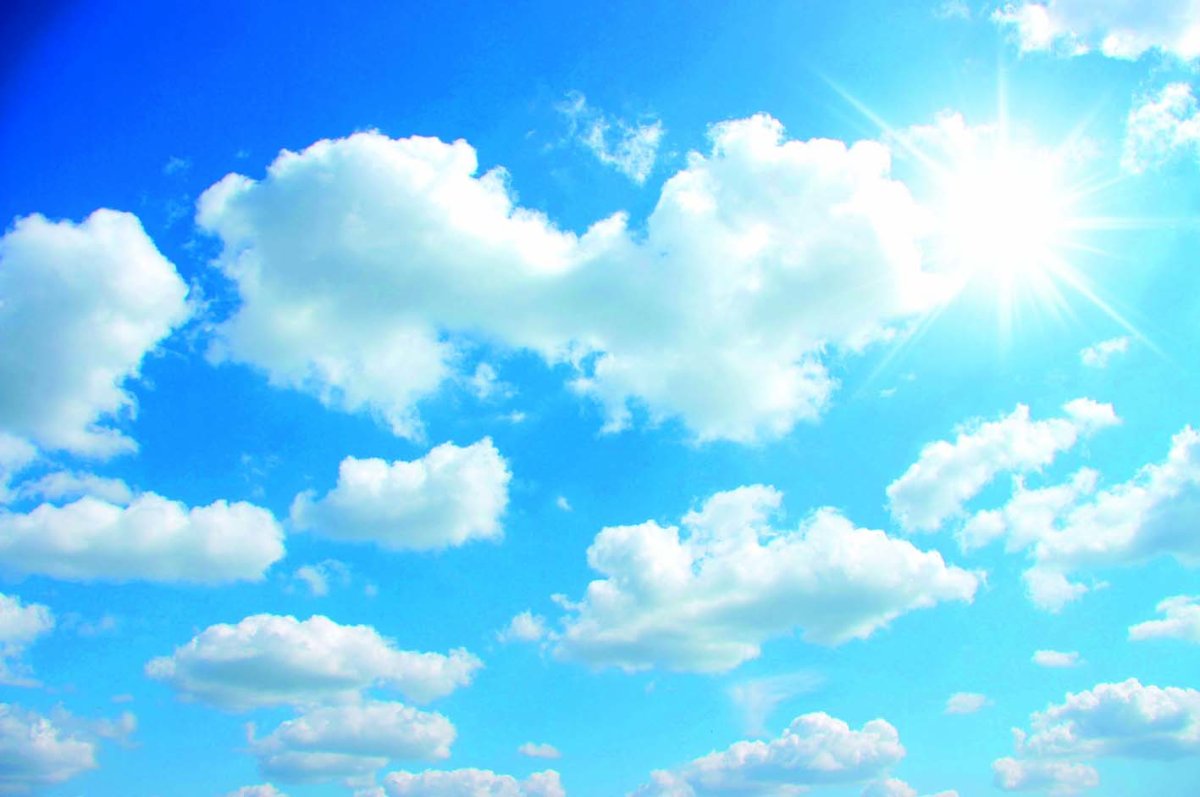 Сердце в природе