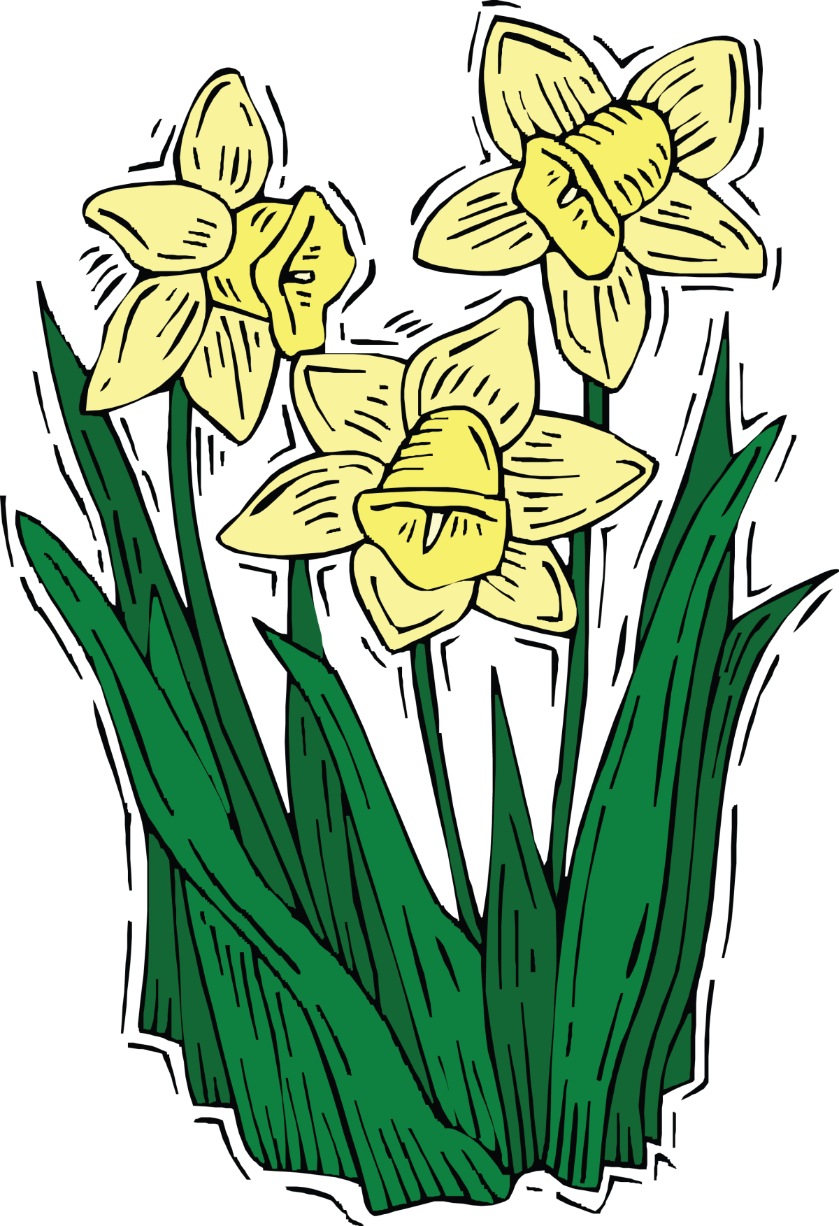 Нарцисс вектор