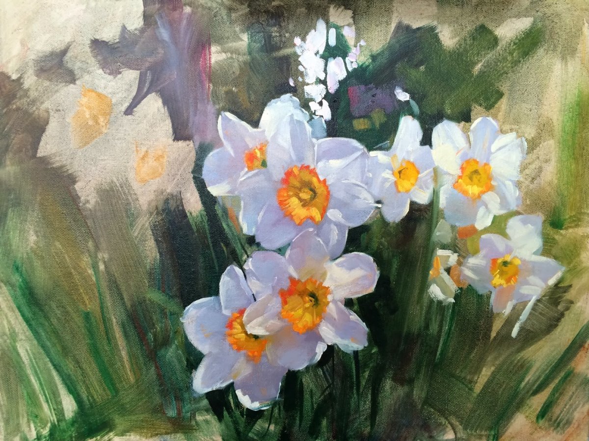 Эскизы нарциссов